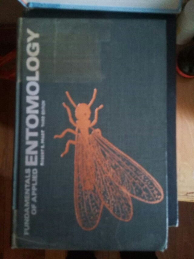 昆虫学科属于什么学科类型,昆虫学专业