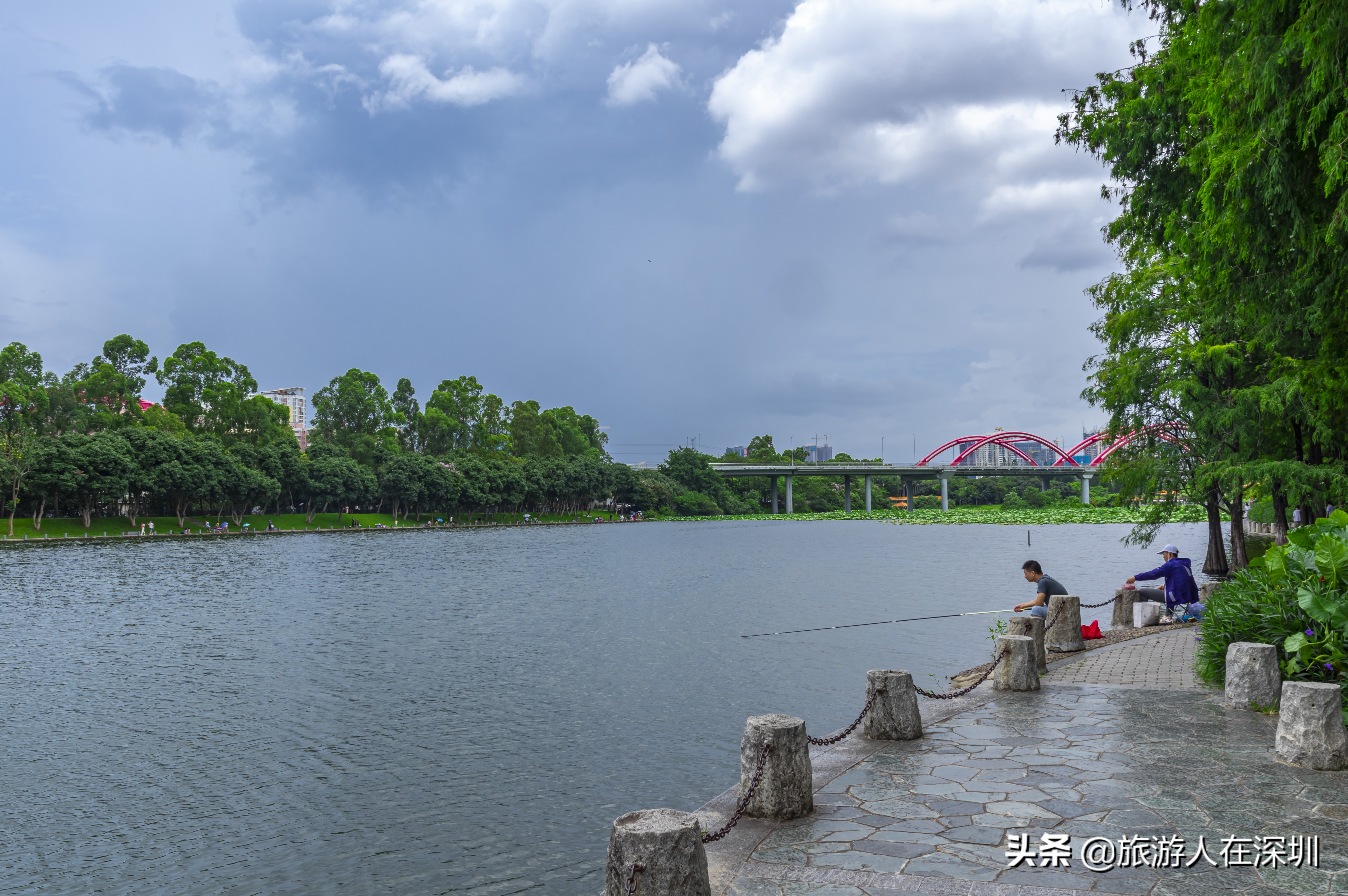 实拍深圳洪湖公园,深圳洪湖公园游玩攻略图