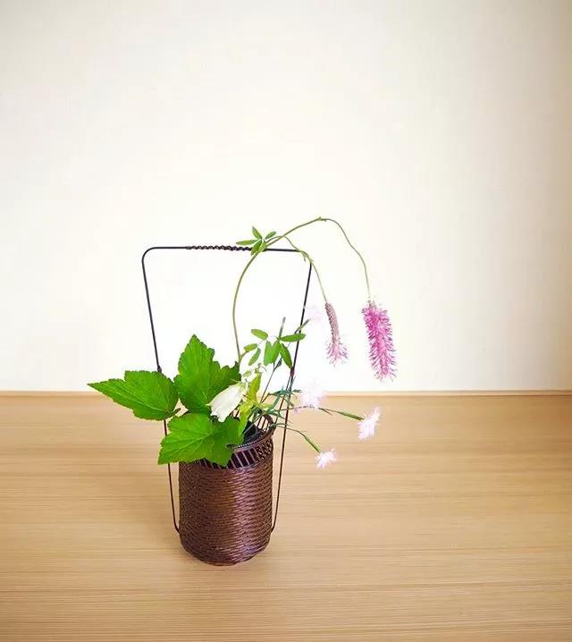 一花一世界一叶一菩提本来无一物,一花一世界一叶一菩提一场梦