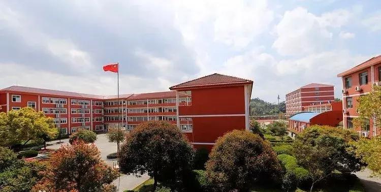 临海学海高中部本科率,临海学海中学高考