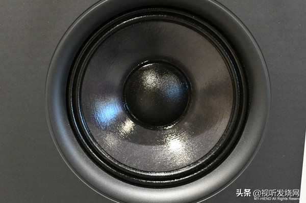 瑞士之声最新款5号音箱,瑞士之声aluminetwose音箱