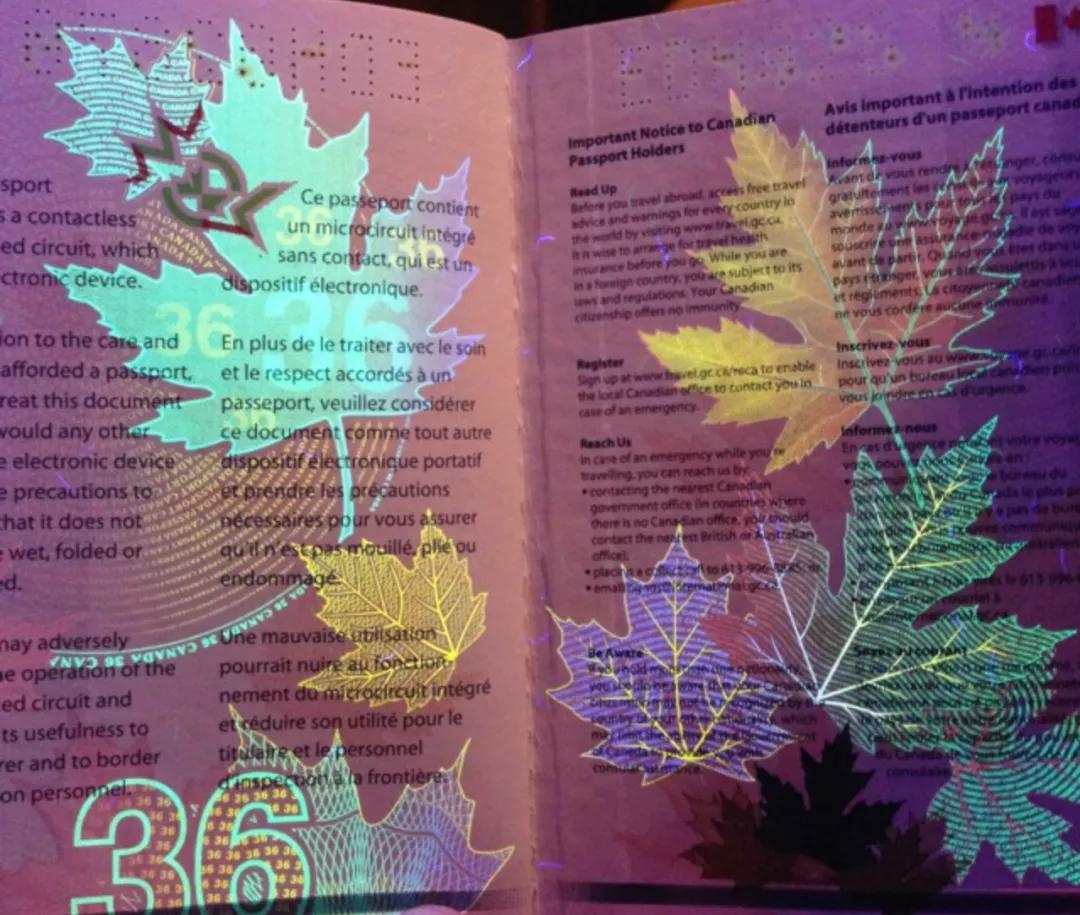 全球护照排名最后十个,全球十大顶级国际护照