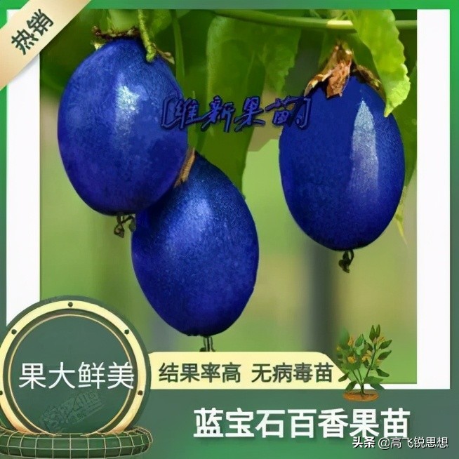 网上卖的假果树苗,假果树苗骗局揭秘