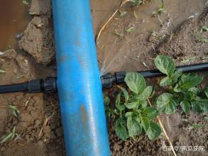 水溶肥效果可靠吗,多元素水溶肥和高钾水溶肥的区别