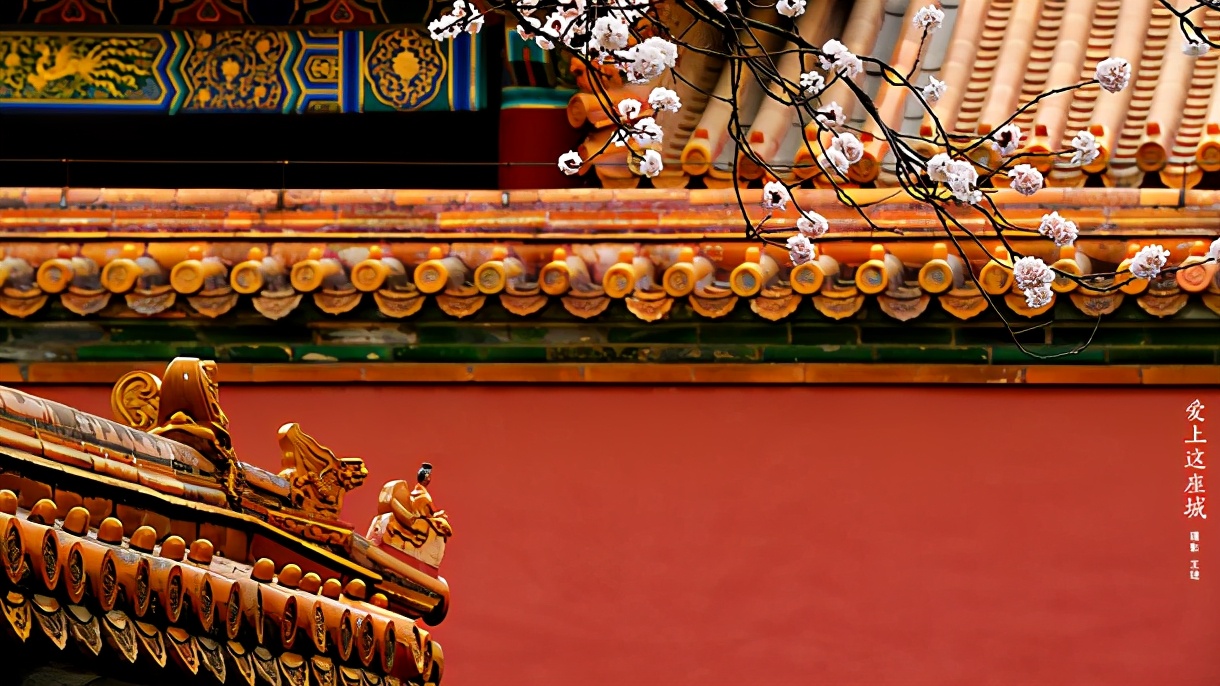 中间带弘字的女孩名字,带弘的女孩名