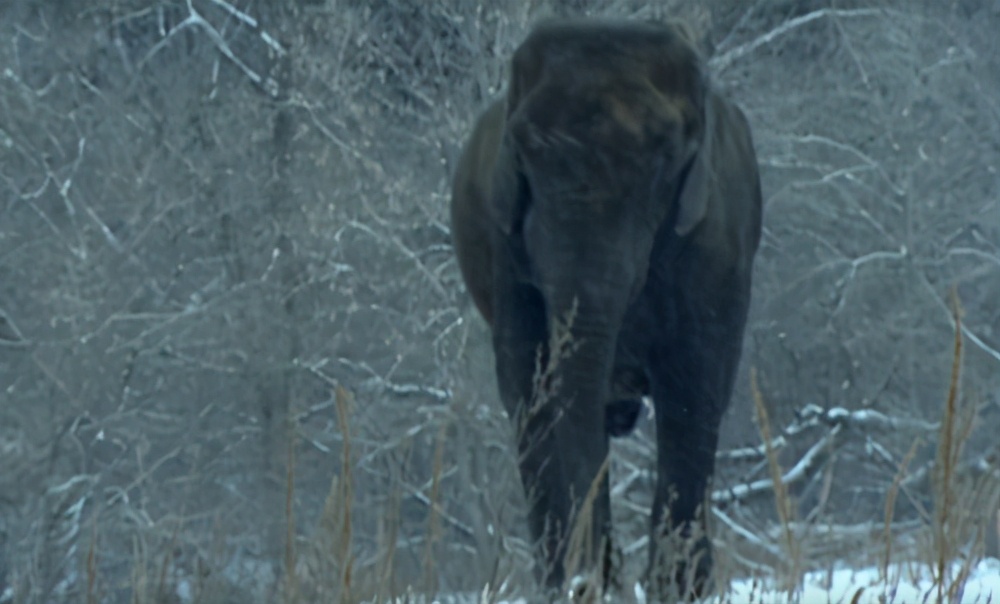 2027年人类会不会消失,2027年人类会消失吗