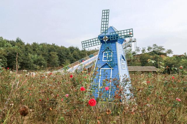 广东广州秋天正确的打开方式,广州花都夏天的好去处
