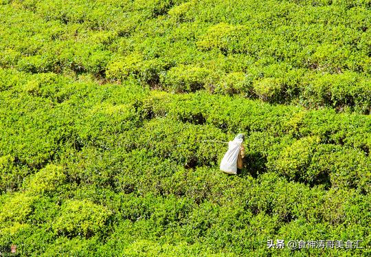 斯里兰卡什么食物便宜,斯里兰卡早餐怎么吃