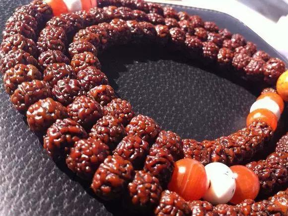 详细介绍一下金刚菩提的基础常识,盘玩金刚菩提有讲究这五点要了解