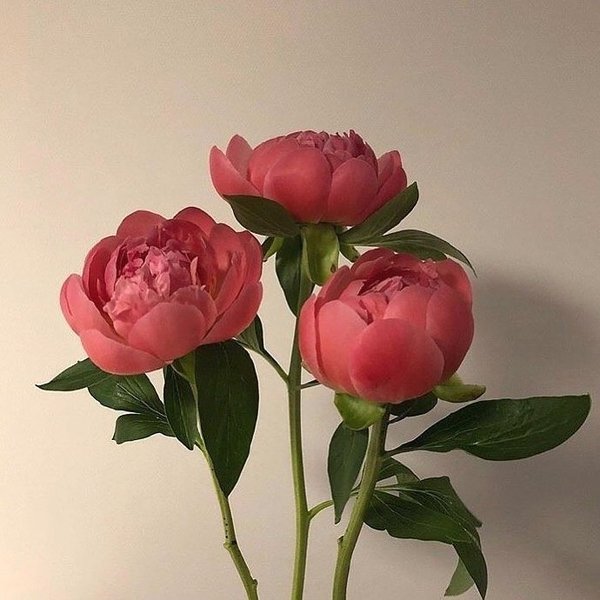 喝酒的女人真的情人多吗,对喝酒的女孩有啥看法