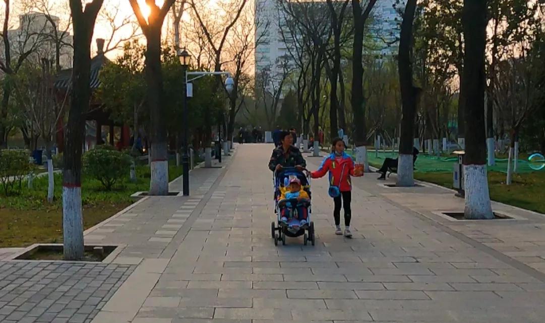 西安莲湖公园要门票吗,西安莲湖公园历史