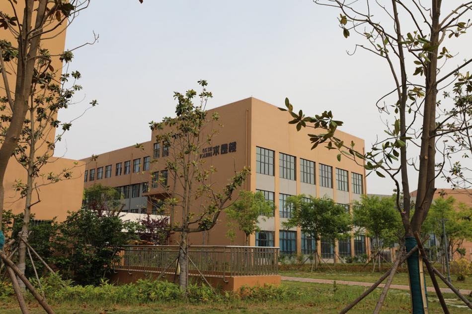 青岛幼儿师范高等专科学校管理,青岛幼儿师范高等专科学校官网