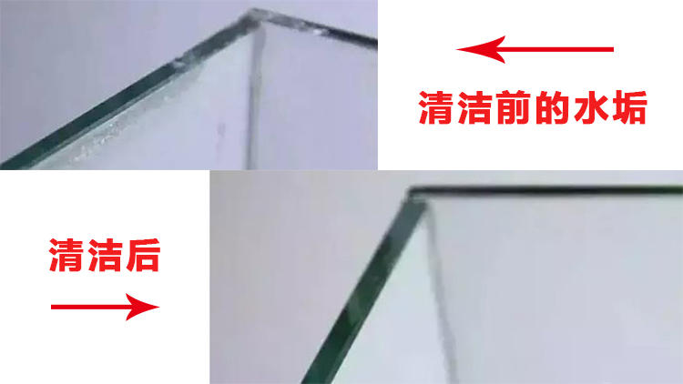 水景鱼缸怎么清理,水景鱼缸怎么清理鱼便