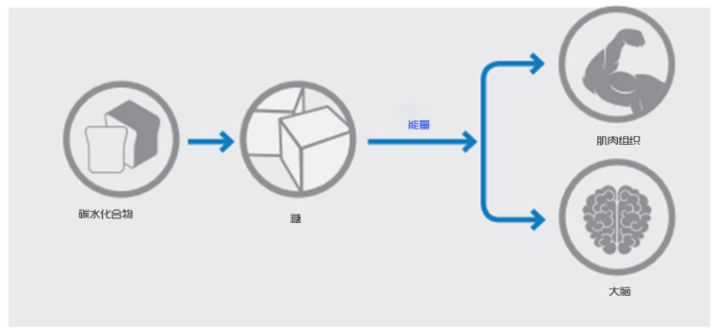 世界卫生组织糖尿病饮食,澳大利亚预防糖尿病的方法