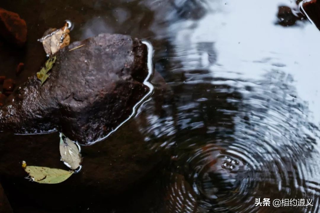 赤水大瀑布 侏罗纪公园 (世界唯一保留的侏罗纪原始公园)