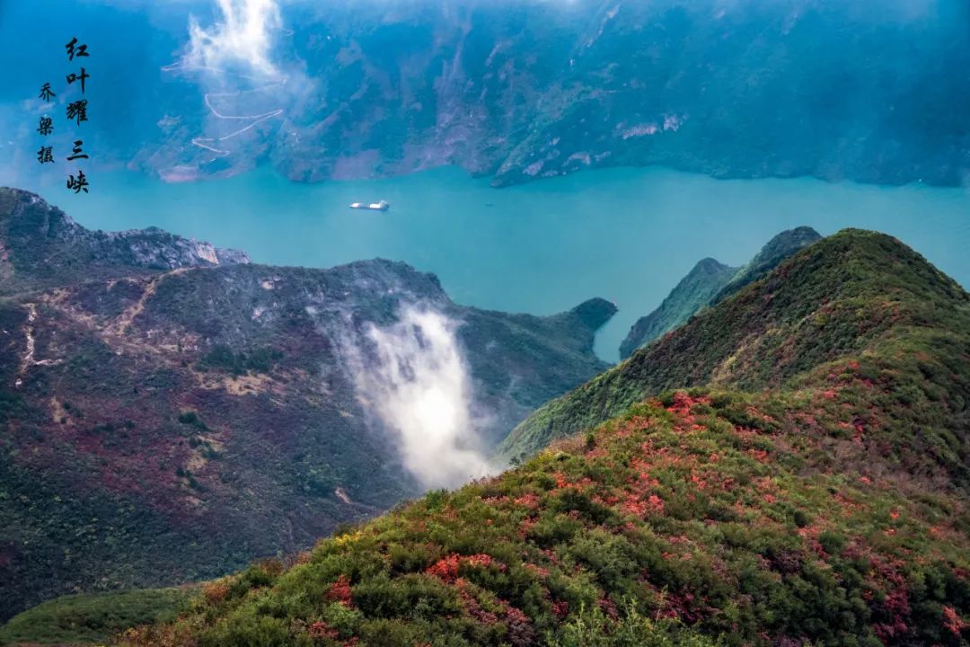 巫山红叶全攻略,巫山红叶2020