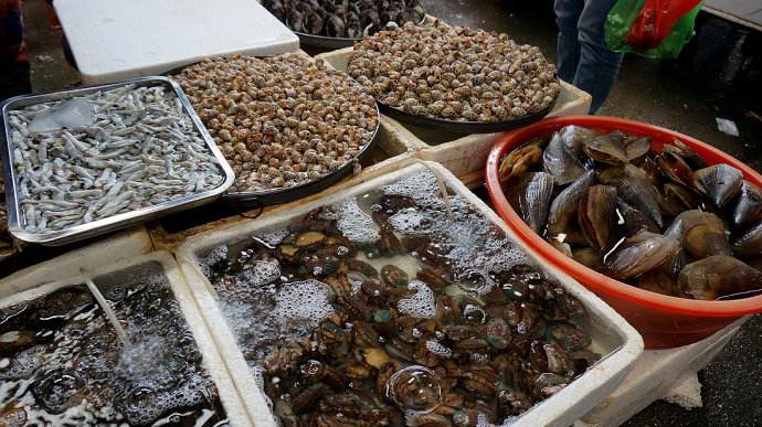 海南自驾租车推荐车型最新,海南517驿站租车价格表