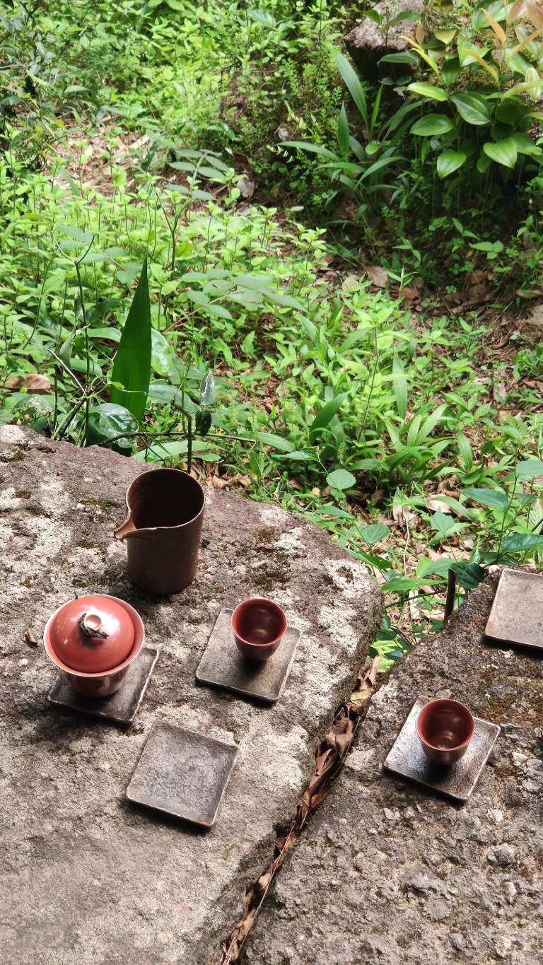 武夷山两天一夜要带什么去,旅游团武夷山两天一夜游99元