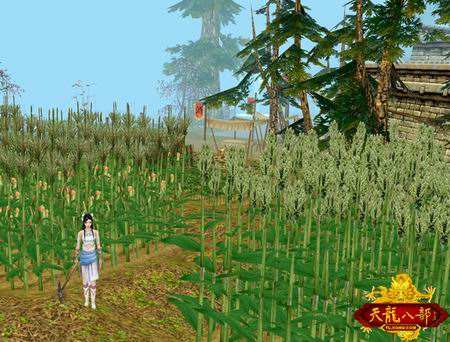 天龙八部160万评分号打造要多少钱,天龙八部充钱土豪排名榜