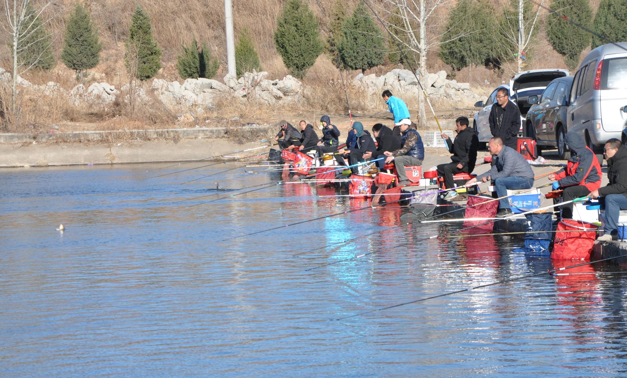 2019黑坑钓鱼比赛直播视频,黑坑钓鱼比赛2019完整视频