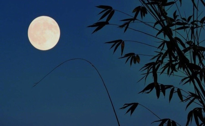 深知身在情长在——读台湾萧丽红的《千江有水千江月》