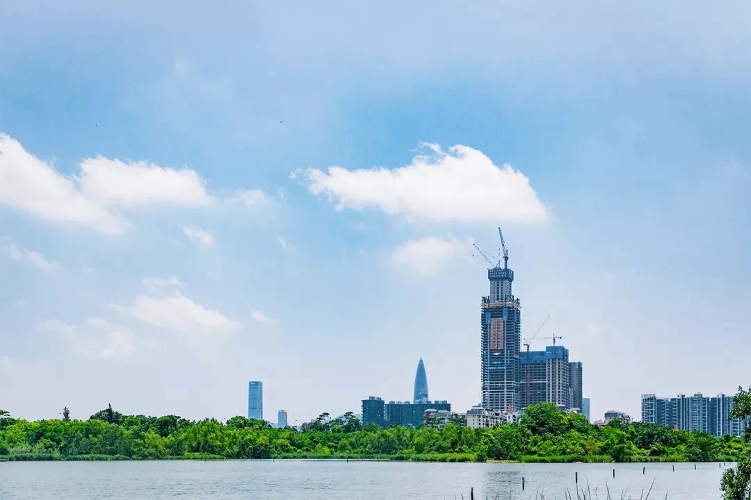 去深圳免费游玩的10个地方,深圳免费游玩景点推荐