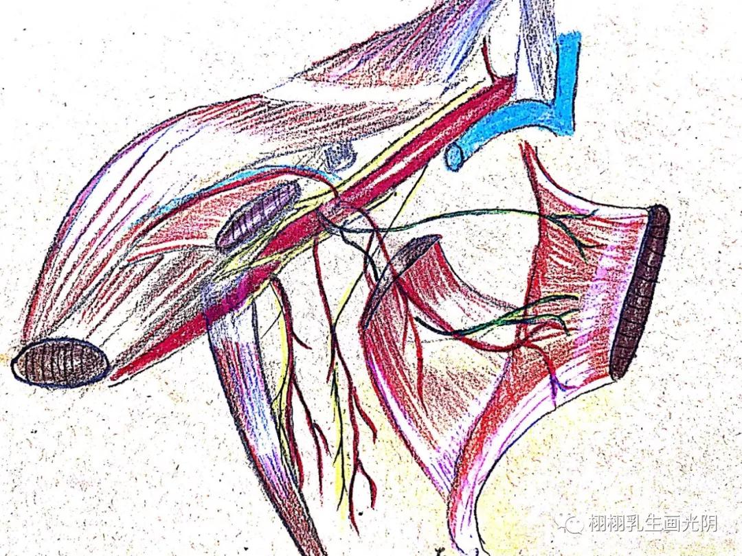 最贵的房子内部图片,最贵的房子内部