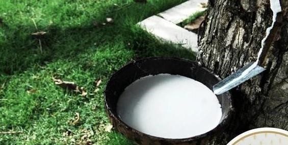 网上买乳胶枕怎么防止被骗,网上买的乳胶枕注意什么