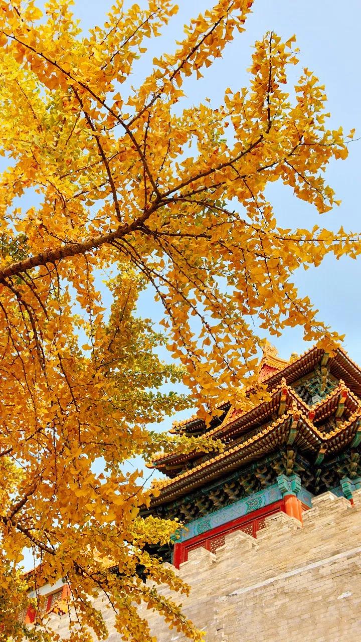 八月未央美文欣赏,七月未央散文