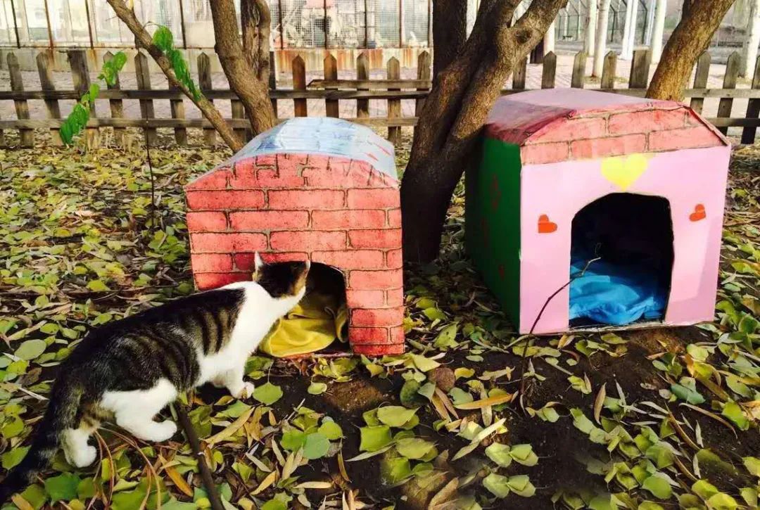 母校前面的广场是什么广场,母校校门设置