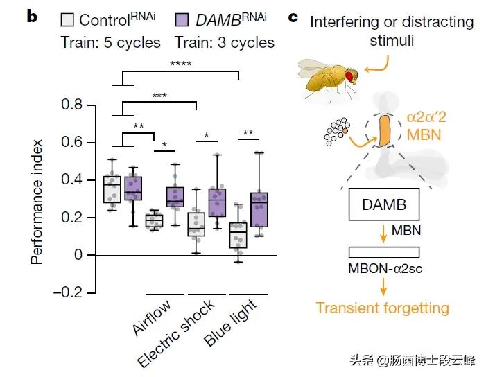 恋爱中的人智商真的会下降吗,恋爱时智商下降