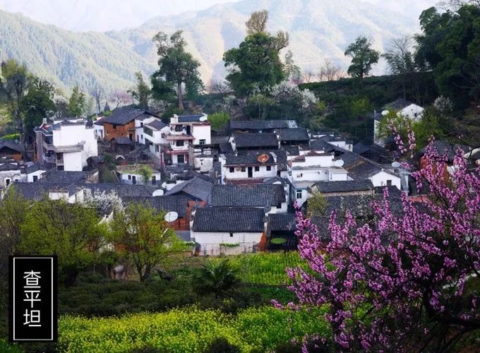 婺源旅游全攻略自由行,婺源旅游攻略一日游自由行