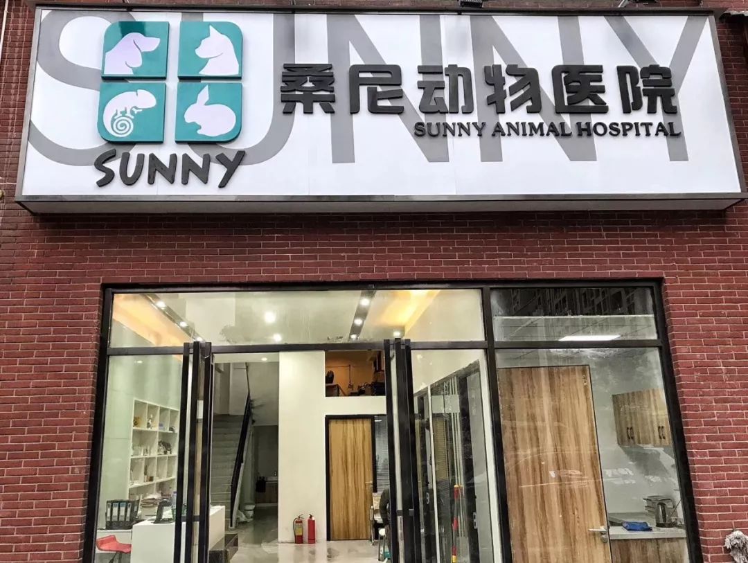 养狗记合集,养狗记28完整版