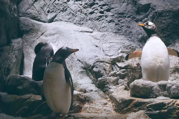 不一样的大阪三日游,瑠璃一束光,值得一来再来