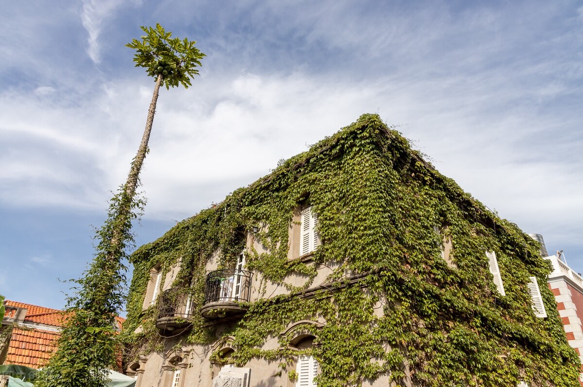 桂林适合闺蜜聚会的地方,六月份适合闺蜜旅游推荐