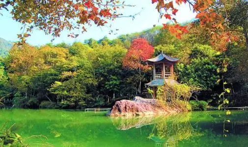 东莞周边11月份赏红叶好去处,东莞观音山看红叶攻略