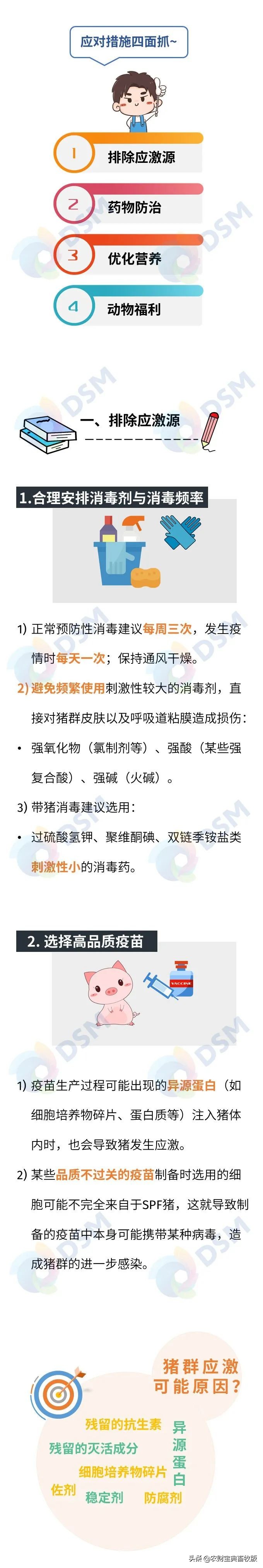 收藏！与非瘟共舞下，猪群的应激源应激大了，怎么办？试试看这四大策略