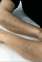 笑不停：老虎：你感动么？狗子：不敢动不敢动。