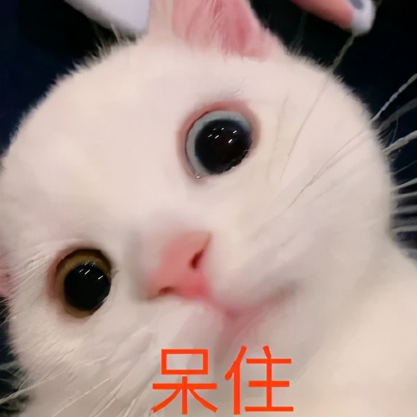 tf全新皮气垫测评,tf金色哑光气垫