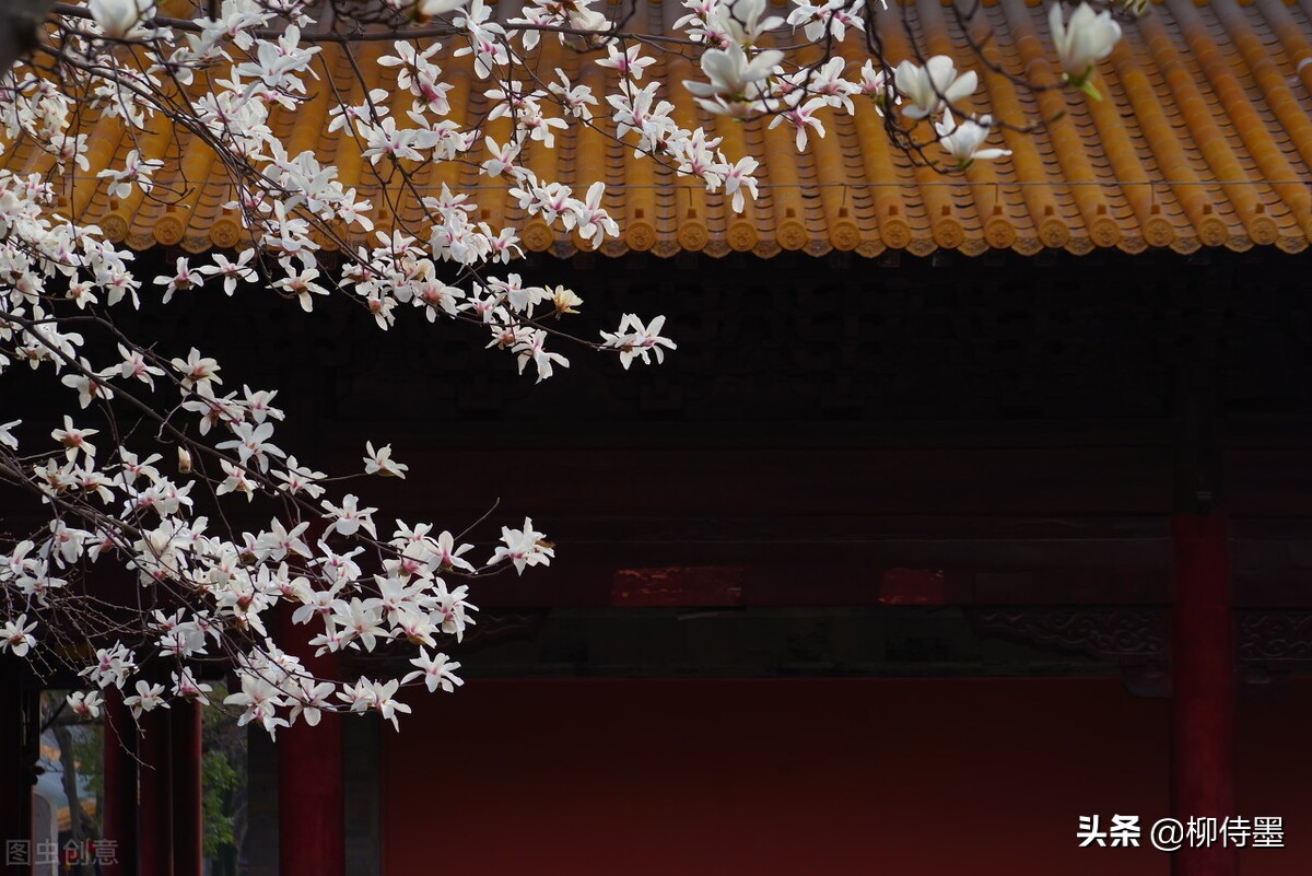 拍摄古建筑摄影技巧,古建筑双人拍照怎么拍出高级感