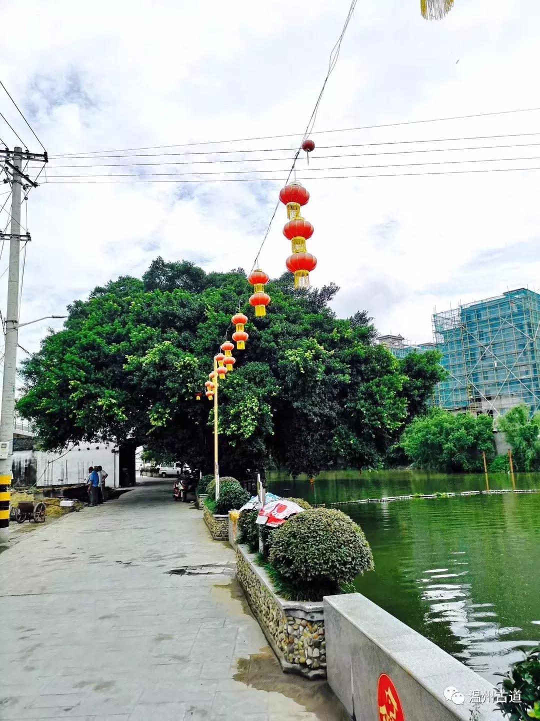 千年古村平阳县鸣山村古城夜景,平阳昆阳鸣山古村落