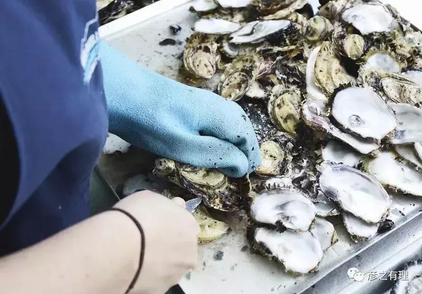 中国人在澳洲工作上的真实情况,中国人在澳洲做外贸