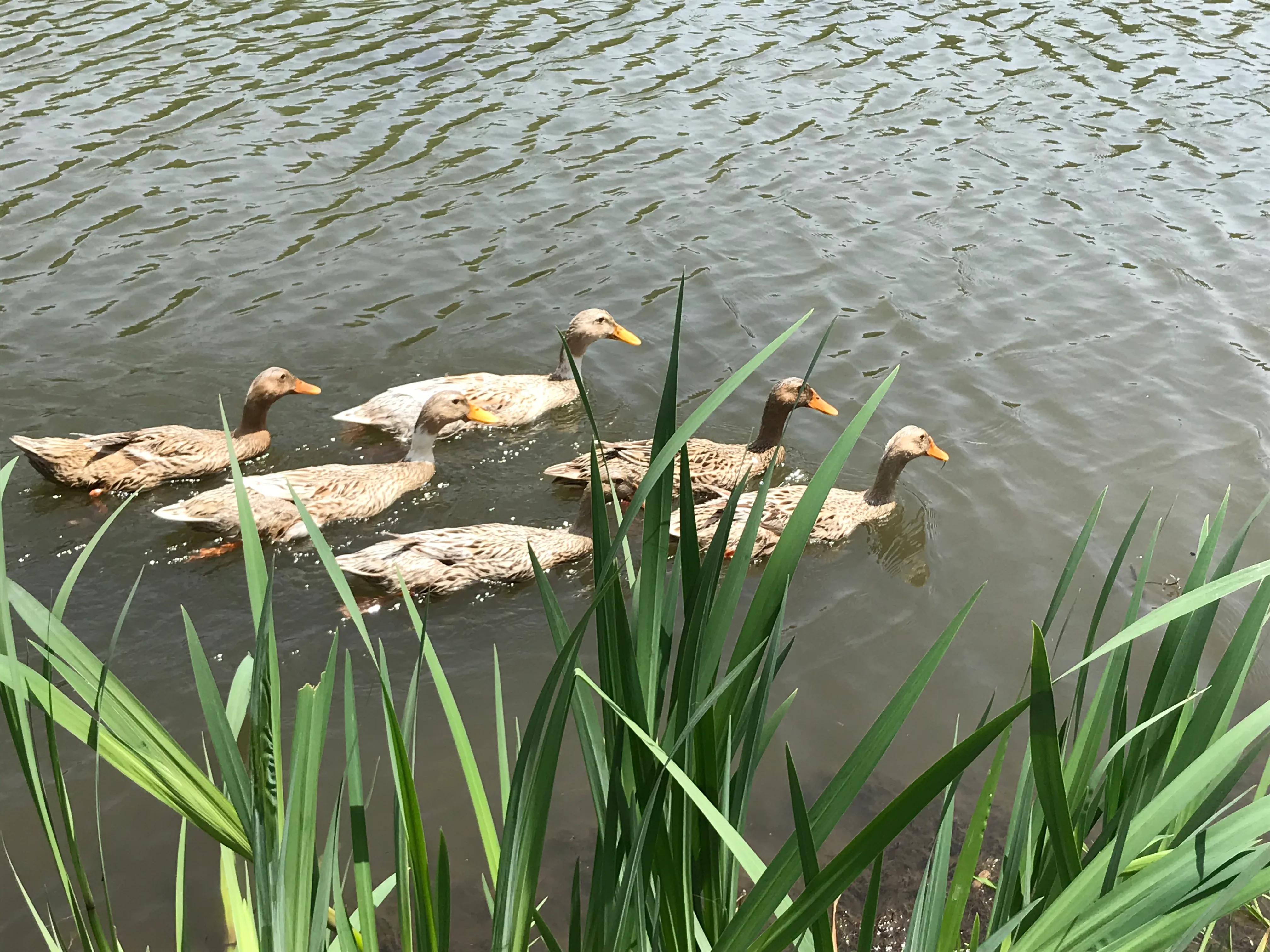踏青山海秘境,石塘竹海游玩的最佳季节