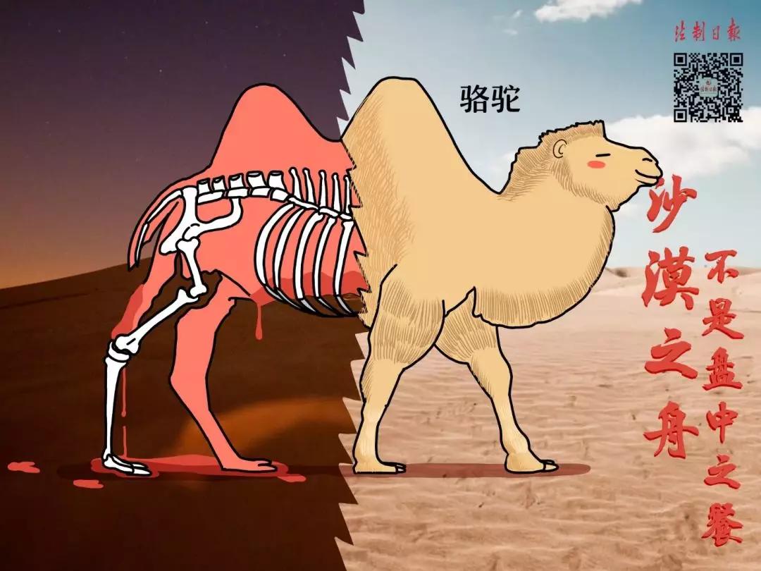 拒绝野味成为自觉行为,拒绝野味管不住嘴