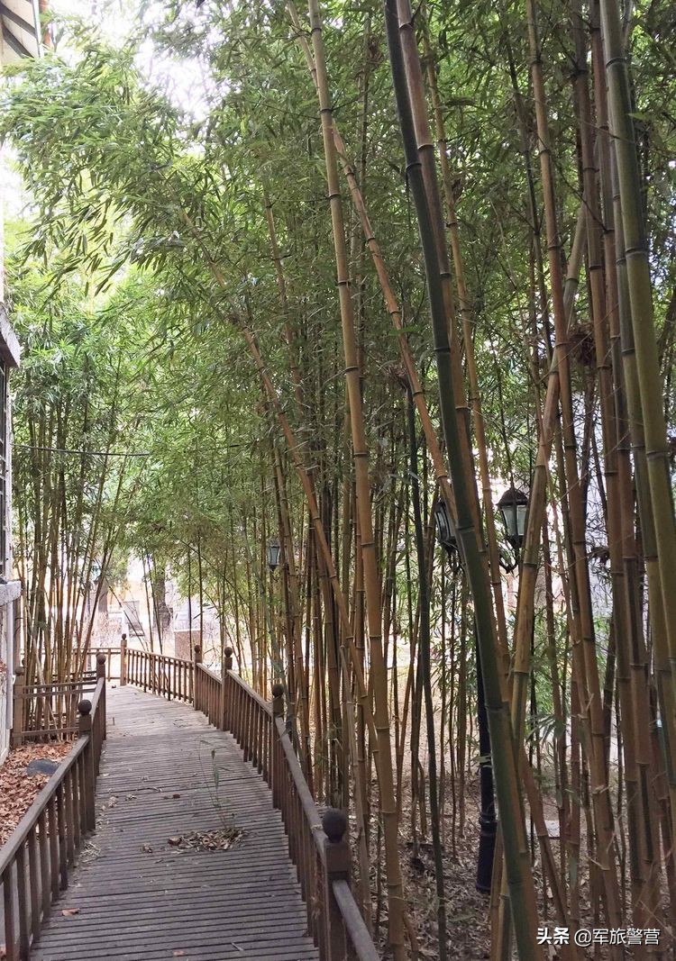 大连市八七疗养院的故事,大连八七疗养院