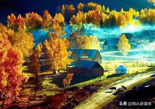 大盘鸡拌面牛肉面烧烤套餐,抓饭拌面大盘鸡自助