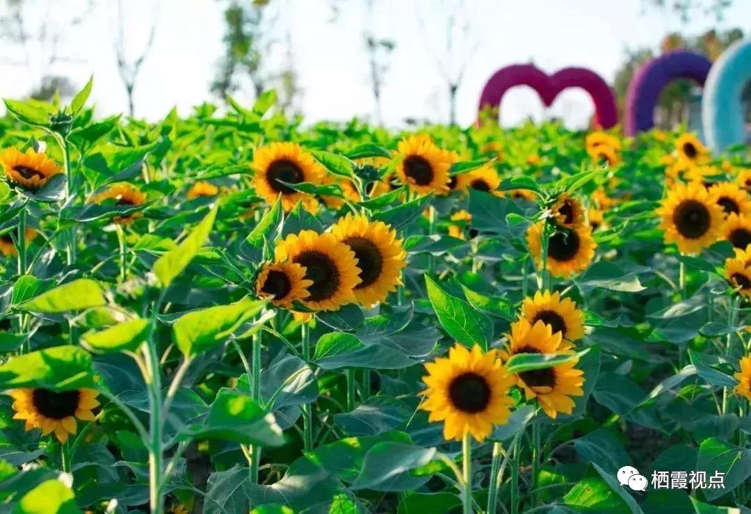 没时间解释了快上车粤语,没时间解释了快上车