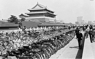 自行车凤凰牌好还是永久牌好,永久的自行车好还是凤凰的好