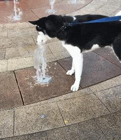 足球场上没有绝对的强和不强,足球场上不可思议时刻