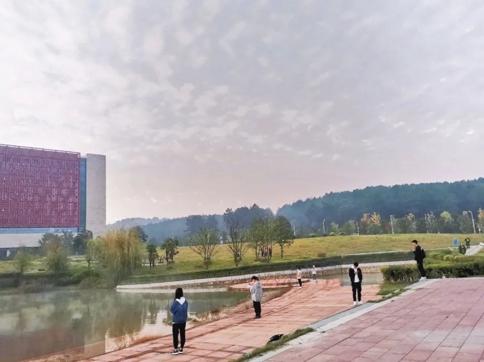 向往的生活1中的小院,精装版向往的生活